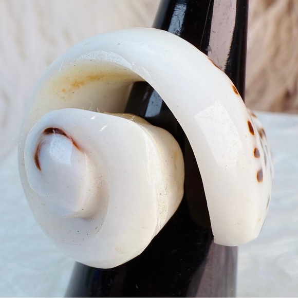 Interesting shell snail beach island chic ring - Picture 1 of 7
